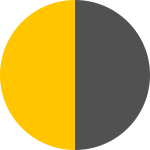 color gris con amarillo TRAVEL EVO 300 4V